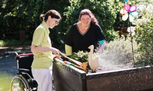 Zwei lächelnde Damen erledigen Gartenarbeit