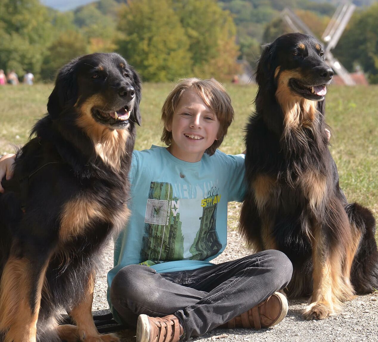 Kinder- und Jugendhilfe: Ein lächelnder Junge sitzt zwischen zwei Hunden